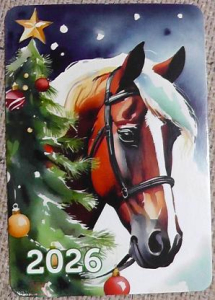 "Новогодняя история"