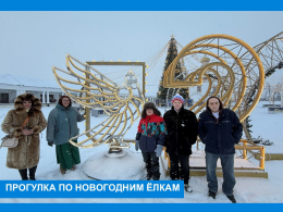 Экскурсия к новогодним ёлкам