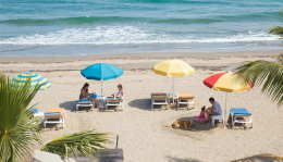 О внесении изменений в Постановление Администрации Владимирской области от 10.05.2017 № 401