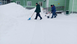 СНЕЖНЫЙ ДЕСАНТ