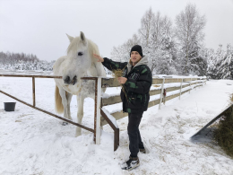 Поездка в конный клуб