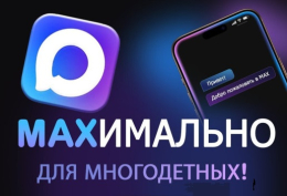 Многодетная семья может подтвердить льготы через приложение МАХ