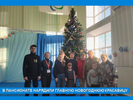 СЕМЕЙНАЯ ЁЛКА