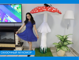 Сказочный гриб- мухомор