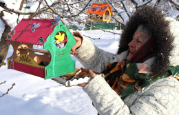 Птичья столовая