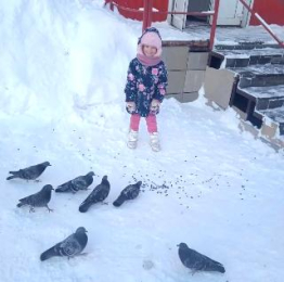 Забота в кадре: покормите птиц зимой