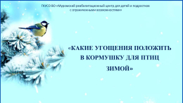 Международный день кормления птиц