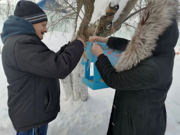 Зимняя забота о пернатых друзьях