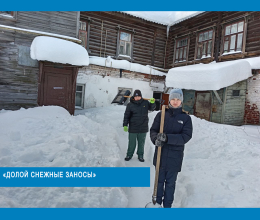 Долой снежные заносы