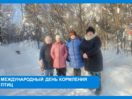 Международный день кормления птиц
