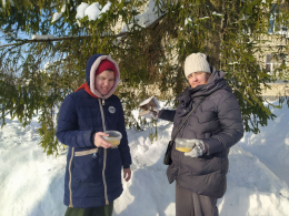 Всероссийская акция "Покормите птиц зимой" 