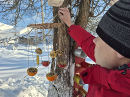 Покормите птиц зимой, чтобы пели нам весной! 