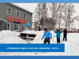 Лыжная прогулка по зимнему лесу