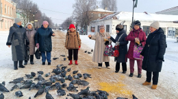 Экологическая акция «Покорми птиц зимой»  