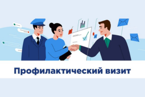 Об особенностях проведения Министерством обязательных профилактических визитов в 2026 году
