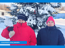 Присоединились к доброй акции «Покормите птиц зимой»!