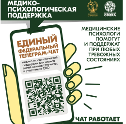 Участники СВО и члены их семей могут бесплатно и круглосуточно получить медико-психологическую помощь в специальном федеральном чате 