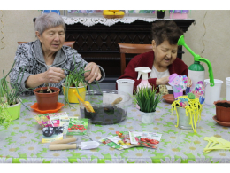 Сеем первую рассаду: старт огородного сезона!