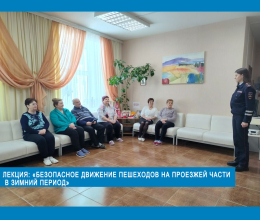 Лекция: «Безопасное движение пешеходов на проезжей части  в зимний период»