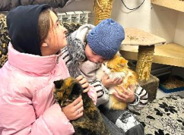 Протяни руку лапам