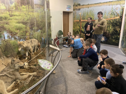 Путешествие в музей природы