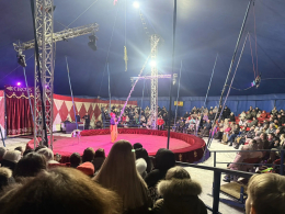 Цирк! Цирк! Цирк!