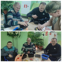 ПРОЕКТ «ЗЕЛЁНЫЙ УГОЛОК»