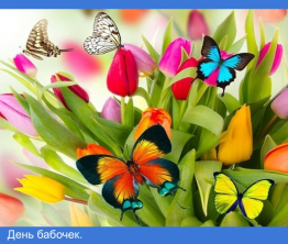 День бабочек