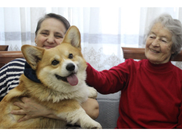 «Лапы дружбы»: тёплый визит четвероногого друга.