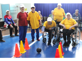 Формула тонуса