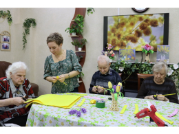 Расцвела назло морозам — чудо-дерево мимоза! 