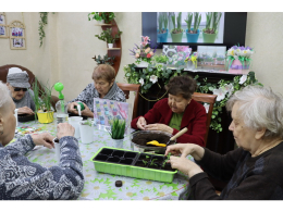 Первые весенние ростки! Навстречу весне!