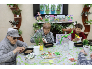 Первые весенние ростки! Навстречу весне!