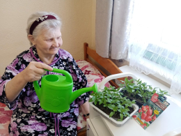 ПИКИРОВКА РАССАДЫ