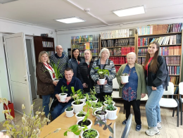 Комнатные цветы-приятный подарок