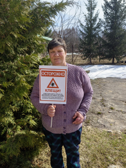 Сезон активности клещей