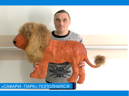 «Сафари- парк» 