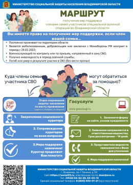 Маршрут получения мер поддержки членами семей участников специальной военной операции во Владимирской области