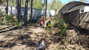 Участие в субботнике