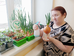 ОГОРОД В ЛАДОШКЕ...