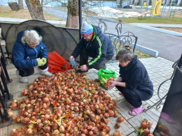 Весенние хлопоты