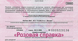 Важное изменение: с 1 марта 2026 года выдача справок МСЭ  на розовых бланках прекращена!