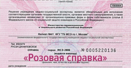 Важное изменение: с 1 марта 2026 года выдача справок МСЭ на розовых бланках прекращена!