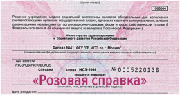 Важное изменение: с 1 марта 2026 года выдача справок МСЭ  на розовых бланках прекращена!