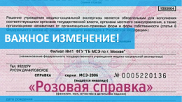 Справки МСЭ теперь формируются в электронном виде