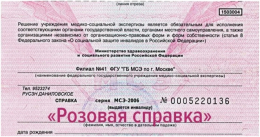 Важное изменение: с 1 марта 2026 года выдача справок МСЭ на розовых бланках прекращена!