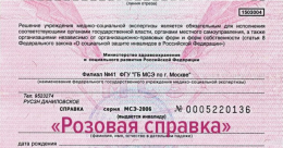 Важное изменение: с 1 марта 2026 года выдача справок МСЭ  на розовых бланках прекращена!