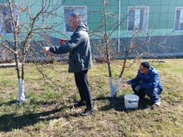 ВЕСЕННЯЯ УБОРКА