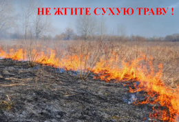 Весенний пал - беда для всех