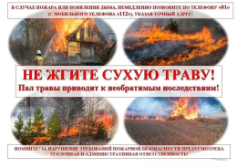 Не жгите сухую траву!